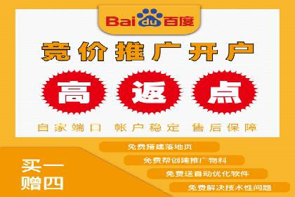 案例分析：百度推广成功案例解析